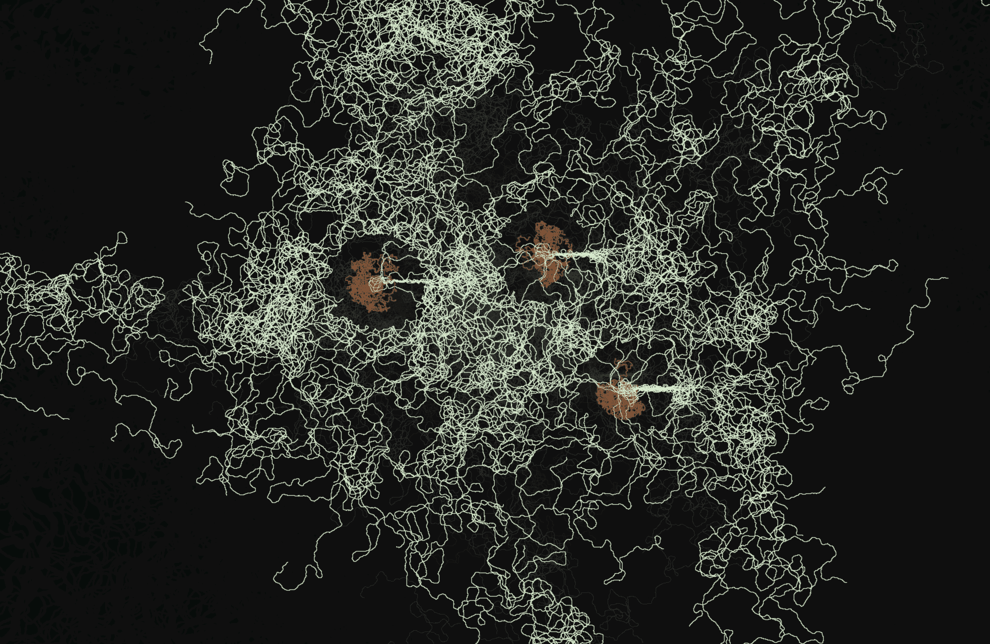 Mycelium Rosetta Stone — photo 2