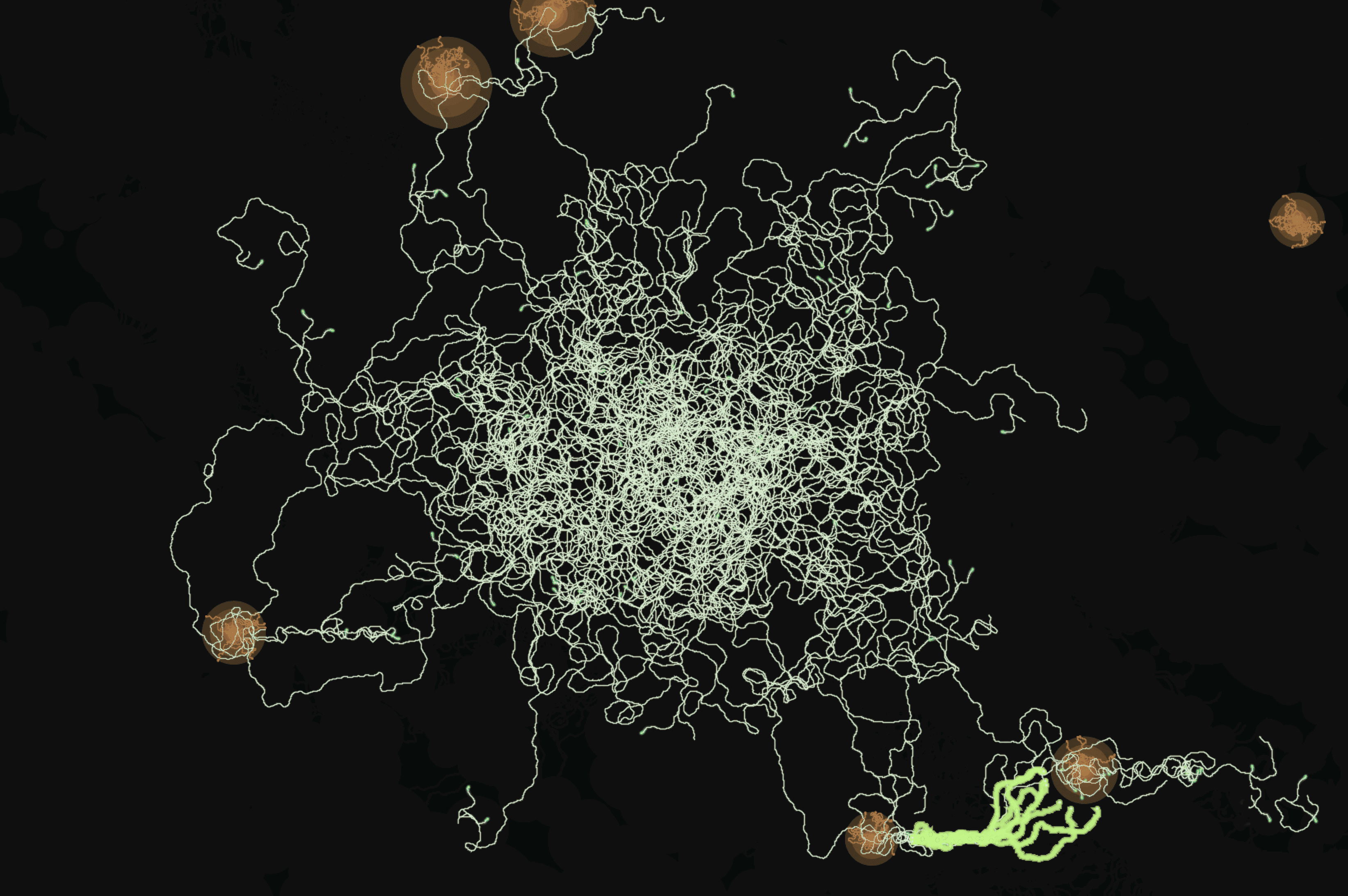 Mycelium Rosetta Stone — photo 3