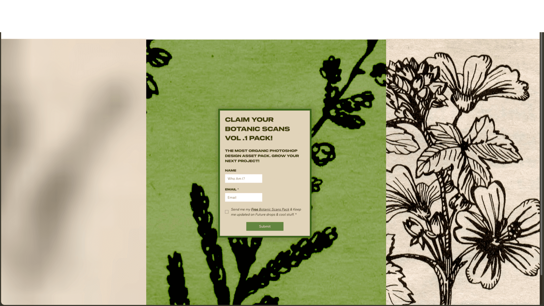 Gyozan.com 2023 — photo 10